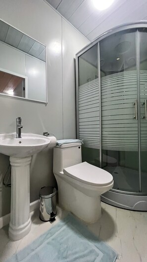 Regadera, toallas, jabón, papel de baño 