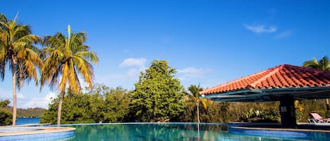 A clear blue pool with a tiled edge, surrounded by palm trees and a covered area with a red roof.