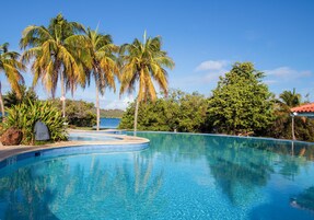 Piscina azul cristalina rodeada de palmeras y follaje, con vista al mar.