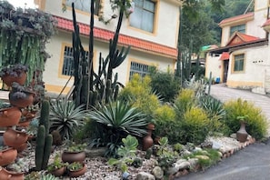 المنطقة المحيطة بالمنشأة