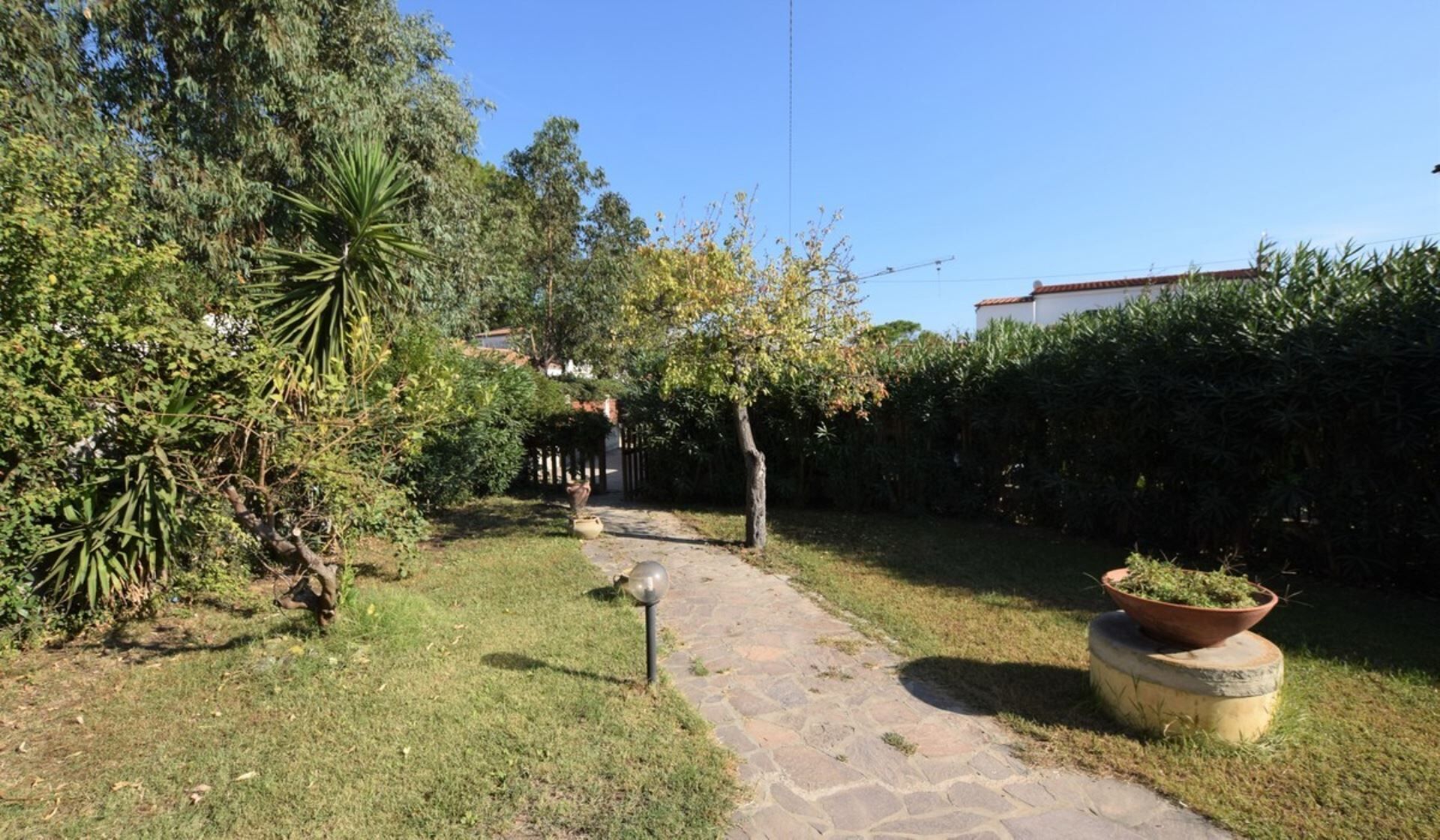 Un vialetto in pietra in un giardino, con diverse piante e un vaso con una pianta sul lato destro.