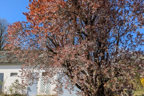 Anna & Jules' little house