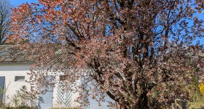 Anna & Jules' little house