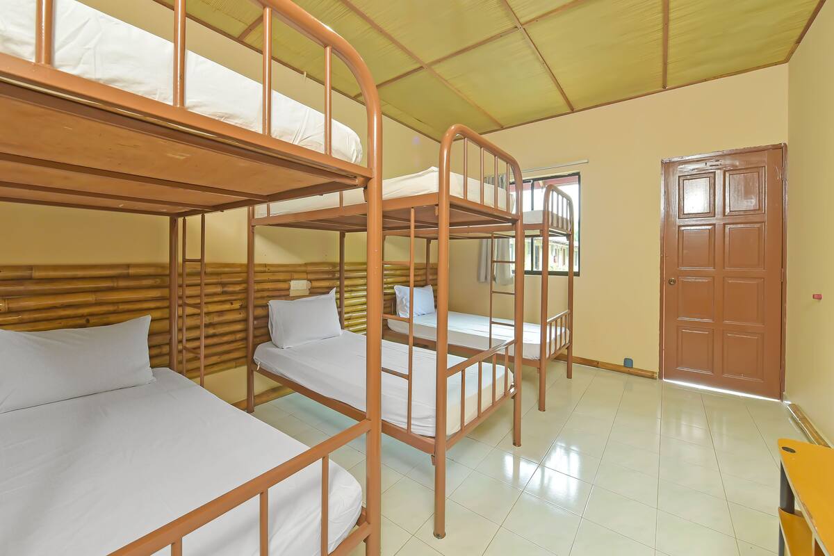 A dormitory room with bunk beds, a wooden door, and a window.