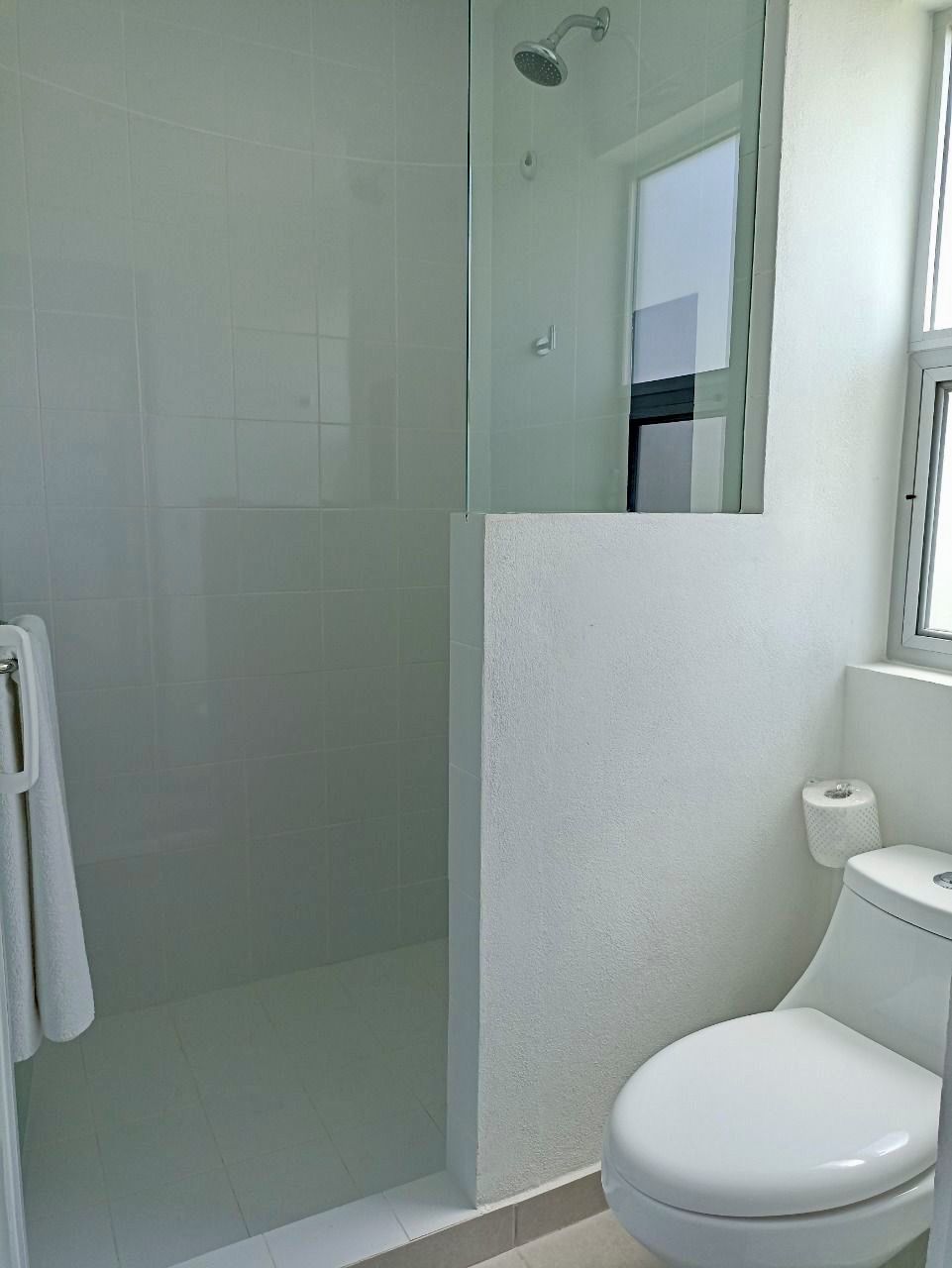 A bathroom with a glass-enclosed shower, a toilet, and a mirror.