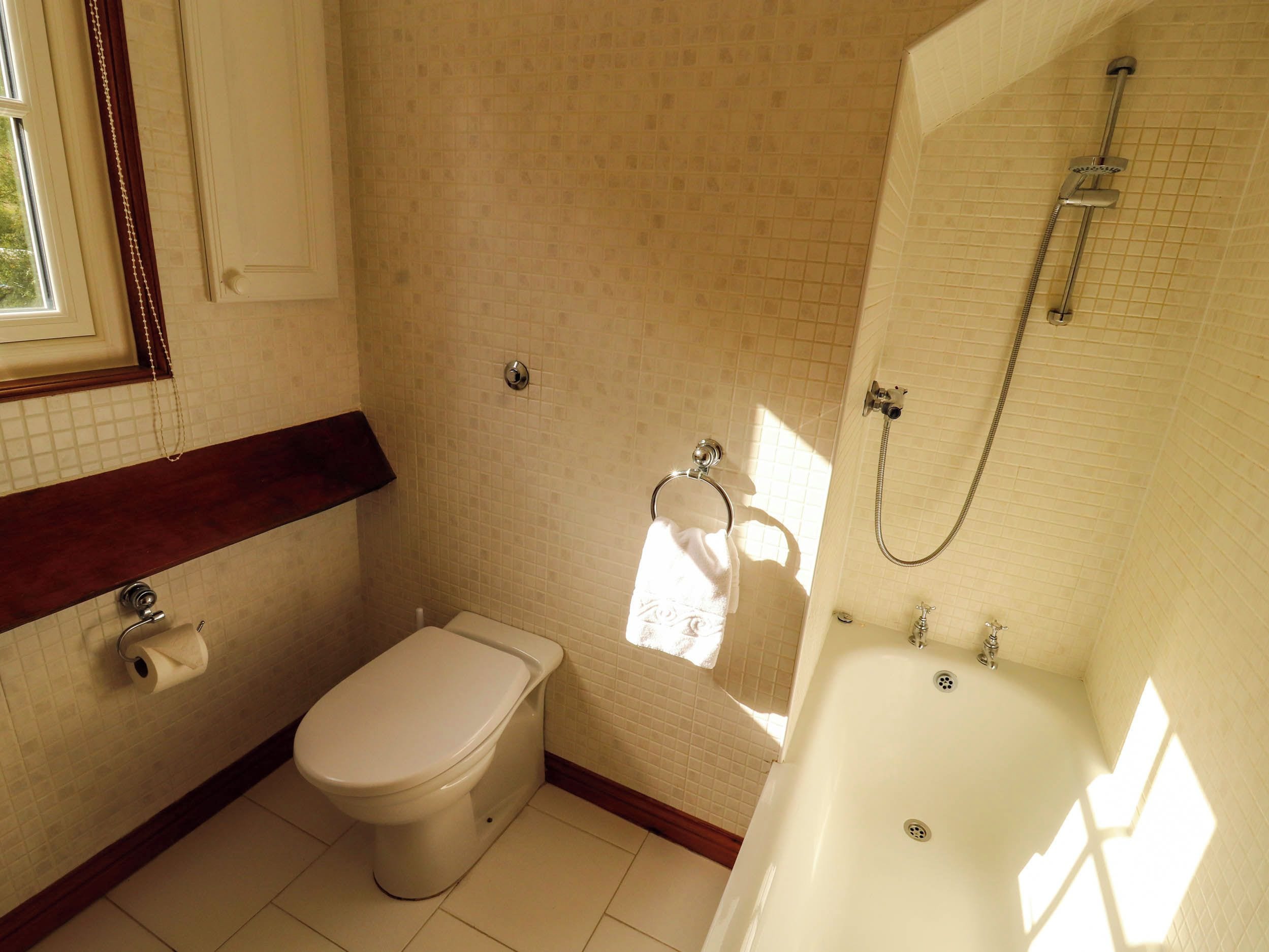 A bathroom with a toilet, a shower, and a bathtub.