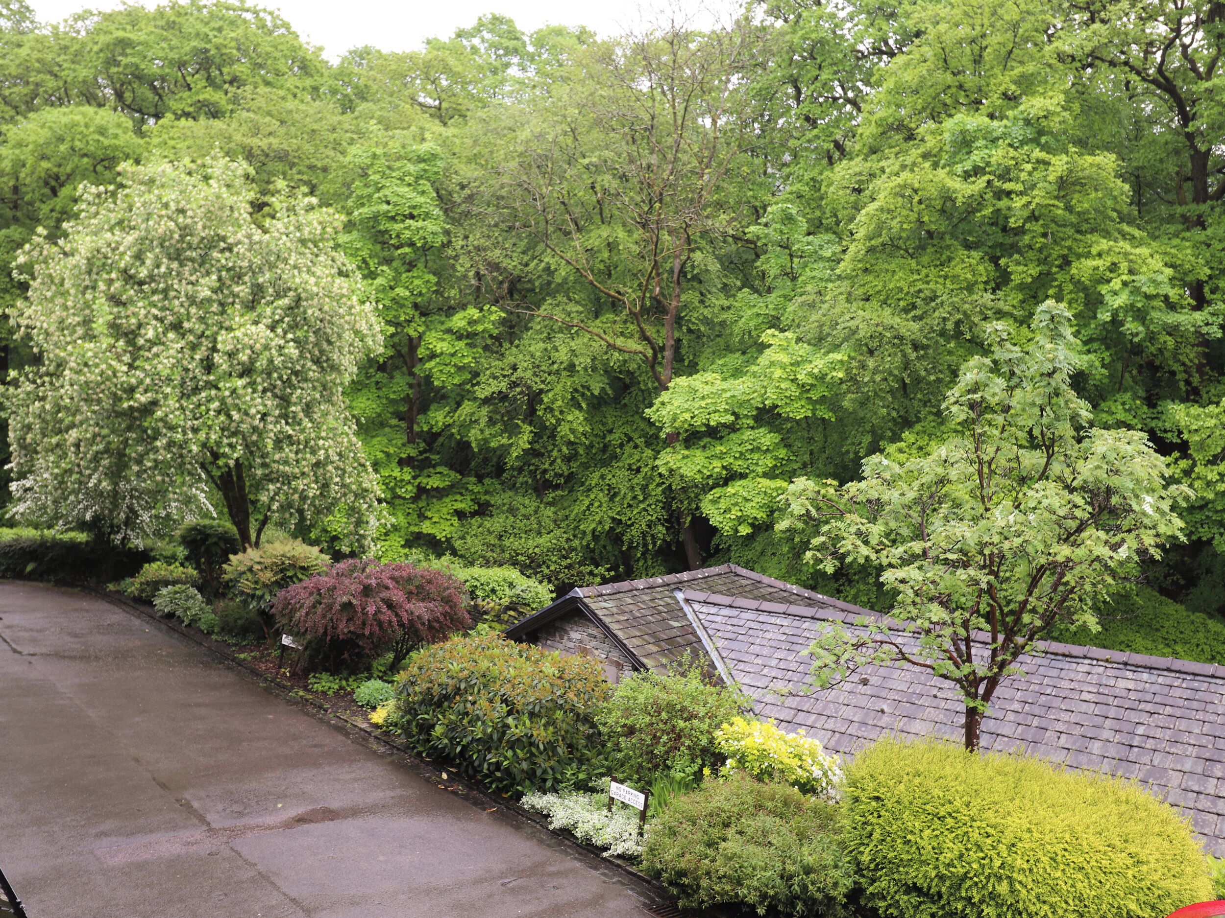 A residential area with a house surrounded by lush greenery and trees.
