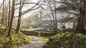 A rural path leading to a white house with a stone wall and a stone fence. - Yew Tree Farm (Coniston)