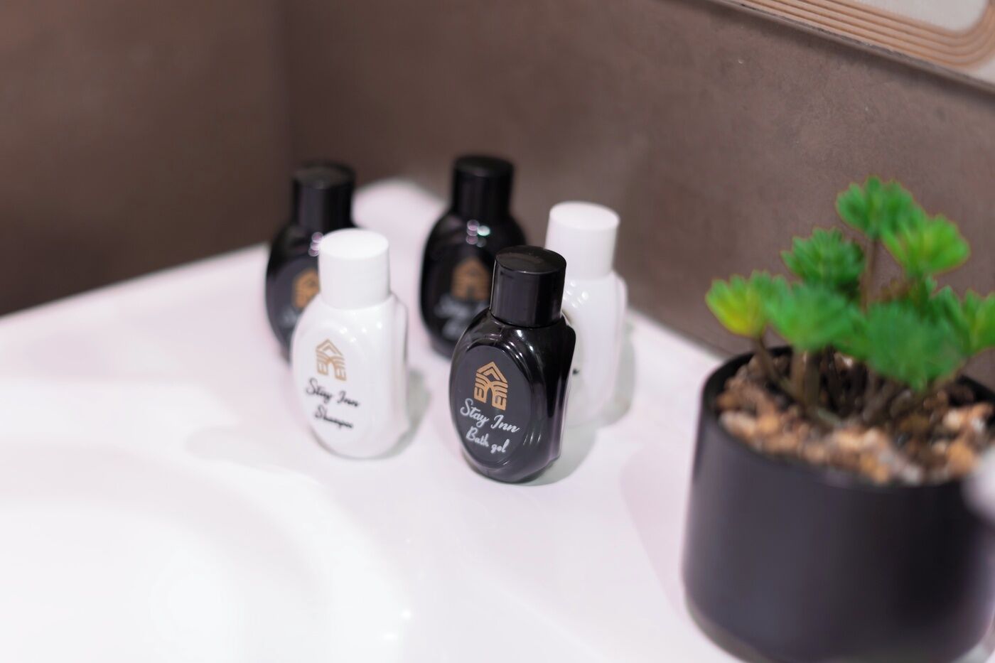A bathroom sink with bottles of hair care products and a small potted plant.