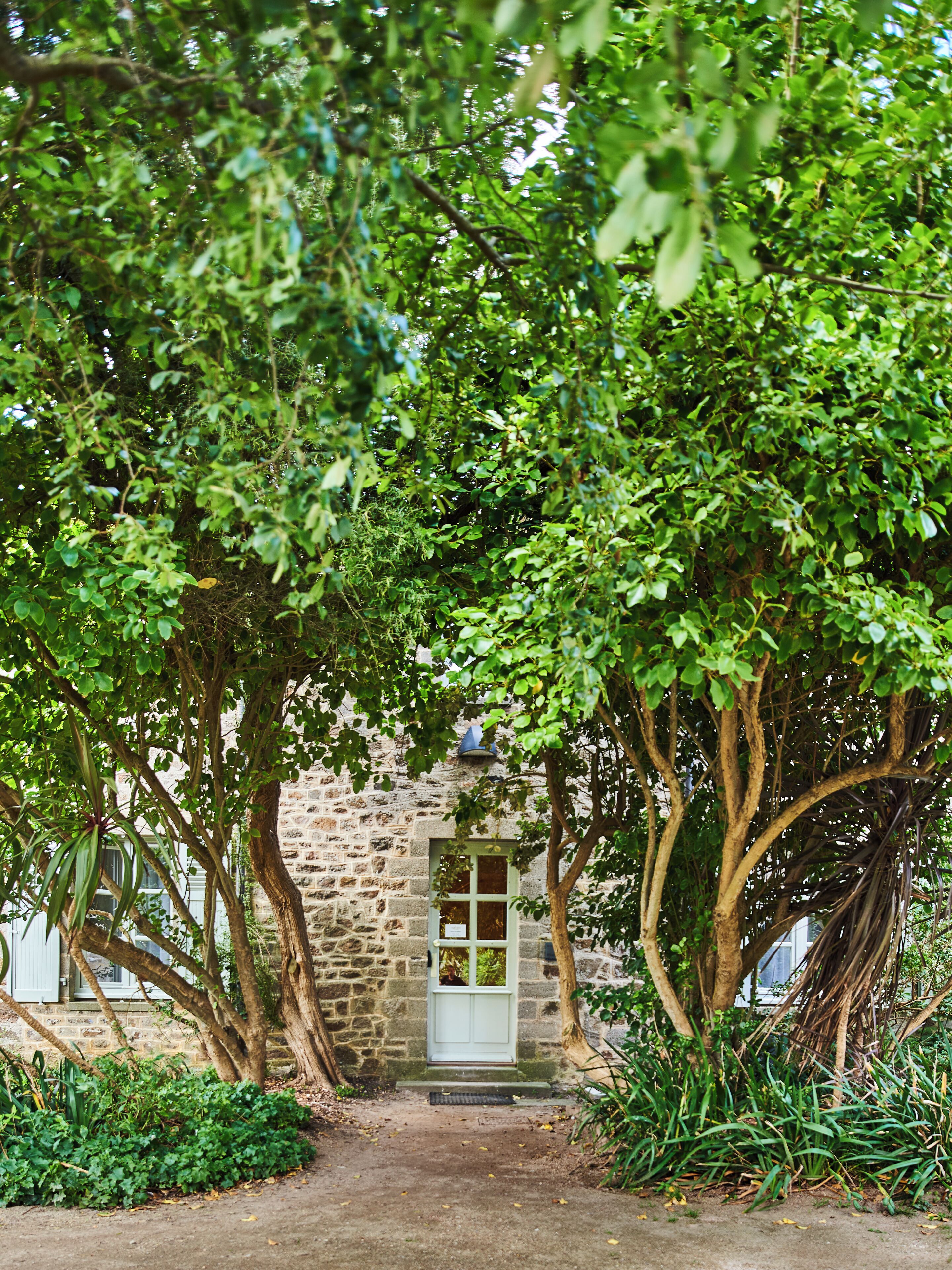 Premium bedding, pillow-top beds, desk, laptop workspace