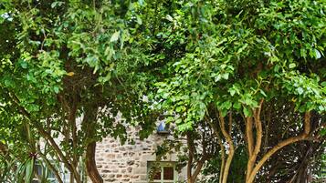 Premium bedding, pillow-top beds, desk, laptop workspace