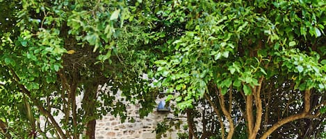 Ropa de cama de alta calidad, camas con pillow-top y escritorio