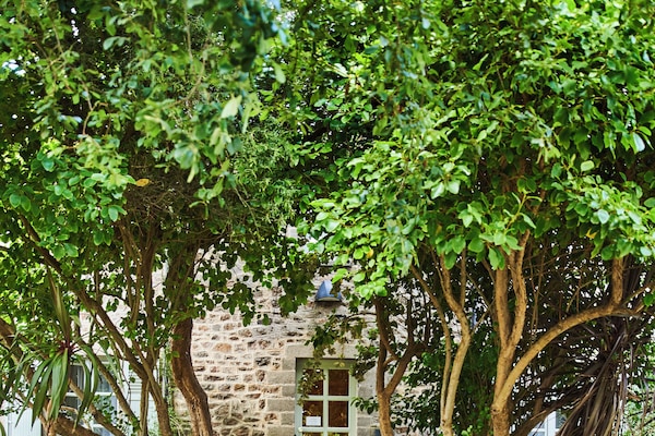 Premium bedding, pillow-top beds, desk, laptop workspace