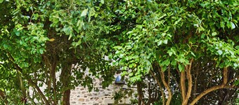 Maisons de Tatihou, The Originals Relais