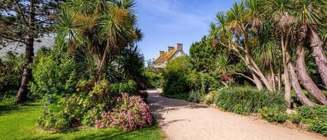 A pathway leading to a house surrounded by lush greenery and palm trees.