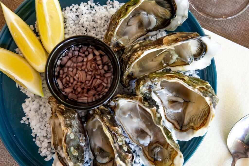 Een bord oesters met partjes citroen en een klein schaaltje cocktailsaus.