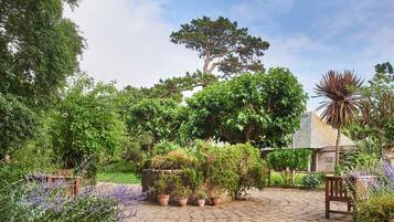 Un jardín con un sendero empedrado, plantas en macetas, un banco de madera y un árbol grande.