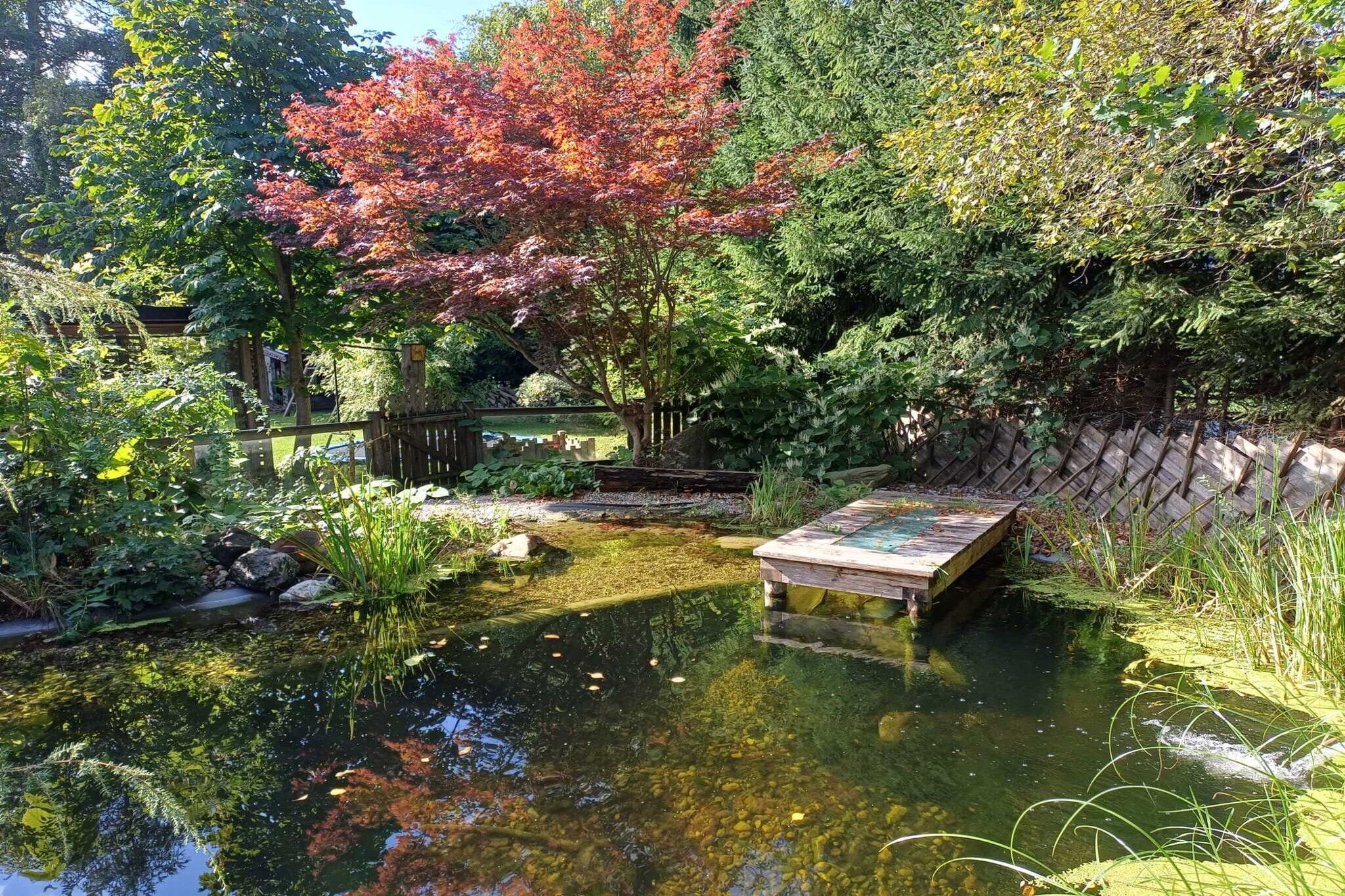 Garden [summer]