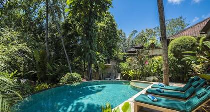 Stunning, fully staffed villa with pool and tropical gardens.