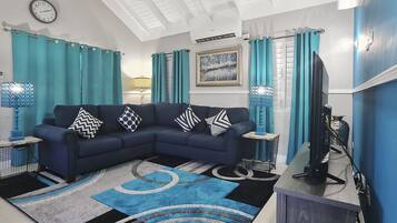 55-inch TV with premium channels