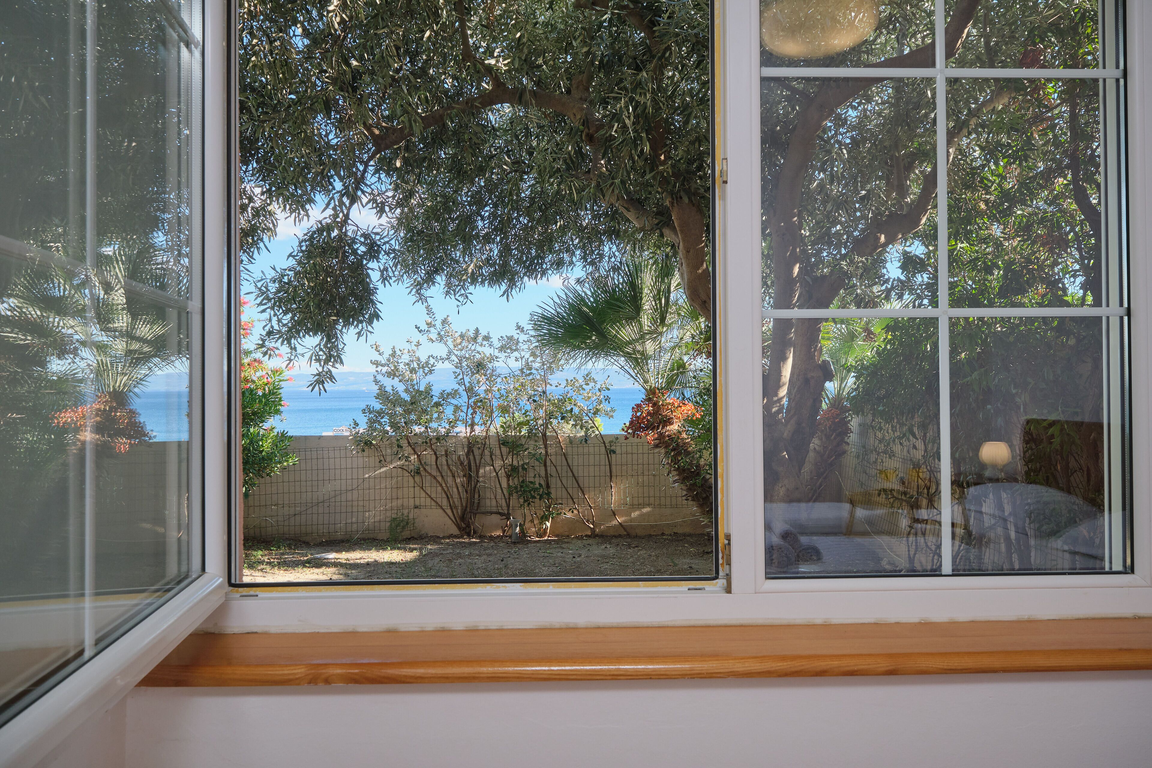 A window with a view of a garden and a fence.