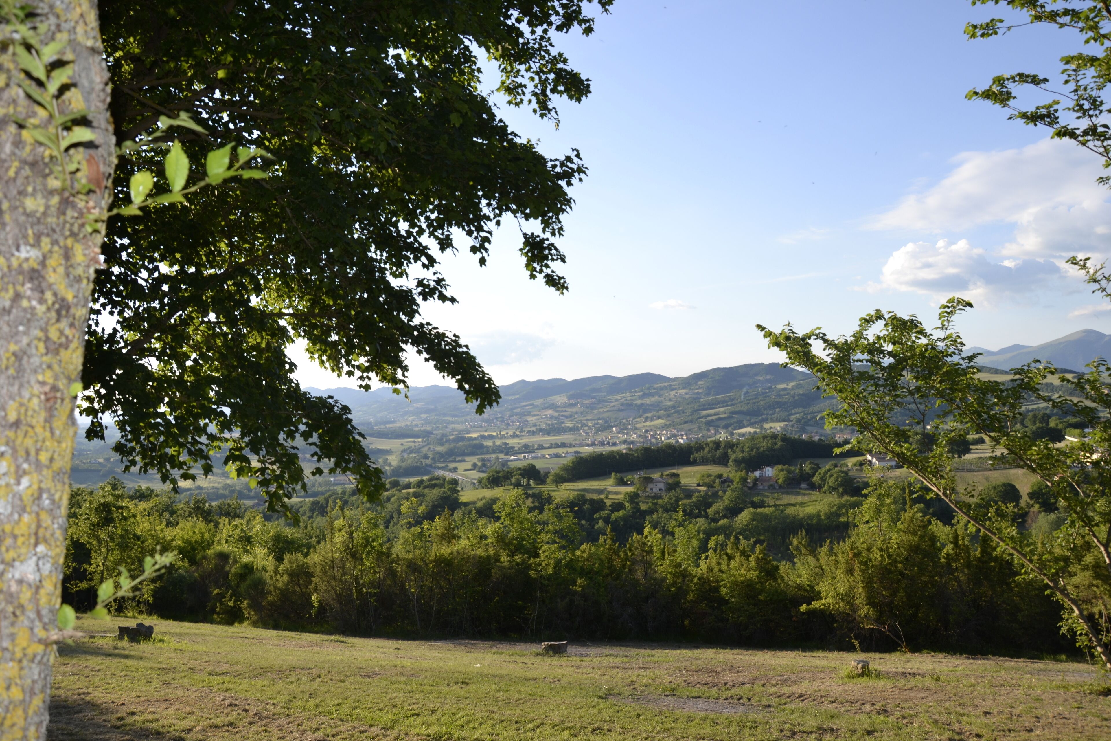 Un paysage rural avec un champ, des arbres et des collines à l’horizon.