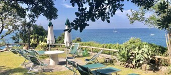 Bouganville 