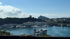 A coastal town with a marina filled with boats, buildings along the waterfront, and a hill in the background. - Bouganville  (Ischia)