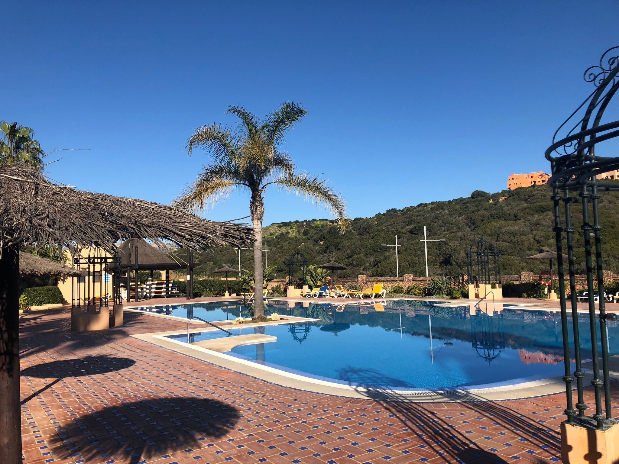Una piscina amb una palmera, gandules i muntanyes al fons.