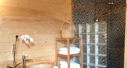 Gîte 20 minutes from the FUTUROSCOPE, with COVERED SWIMMING POOL, SPA and SAUNA