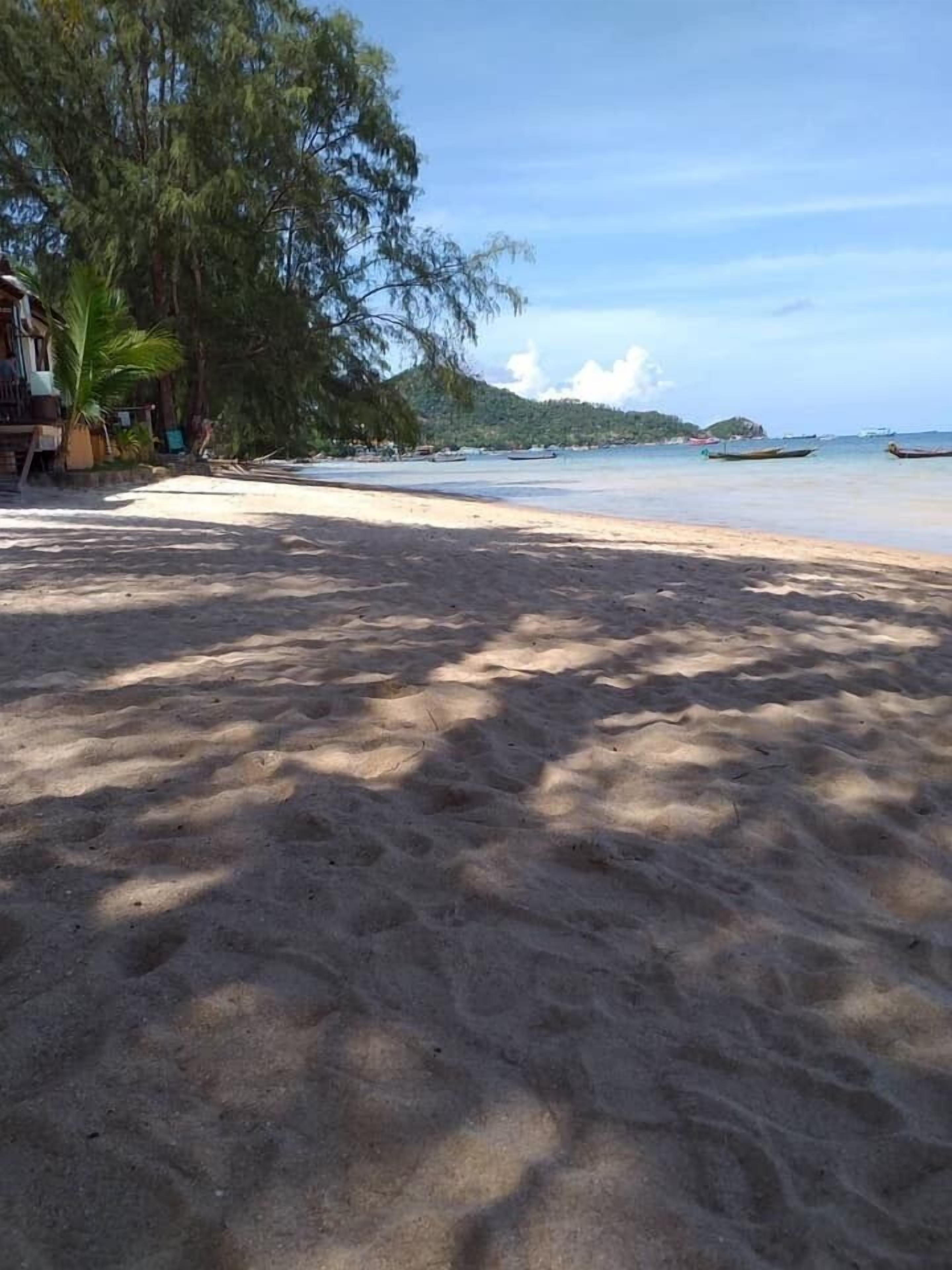 Ein sandiger Strand mit Bäumen und einem Blick auf Boote in der Ferne.