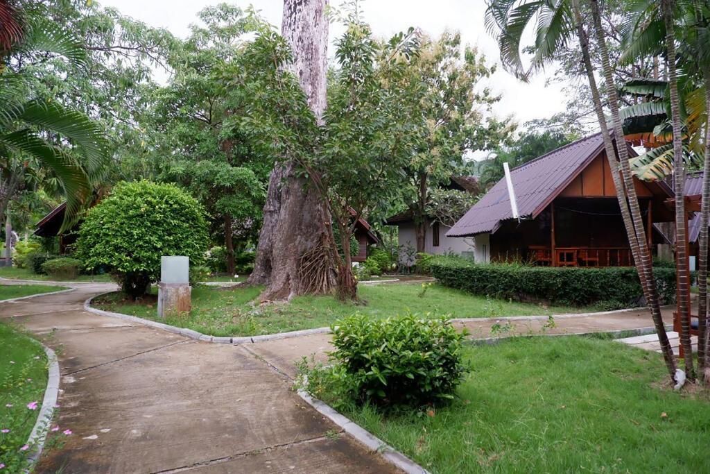 A pathway leading to a building surrounded by lush greenery and a large tree.