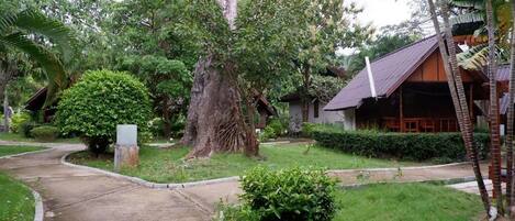 A pathway leading to a building surrounded by lush greenery and a large tree.