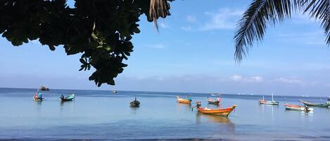 A beach with boats anchored in calm waters, surrounded by palm trees.