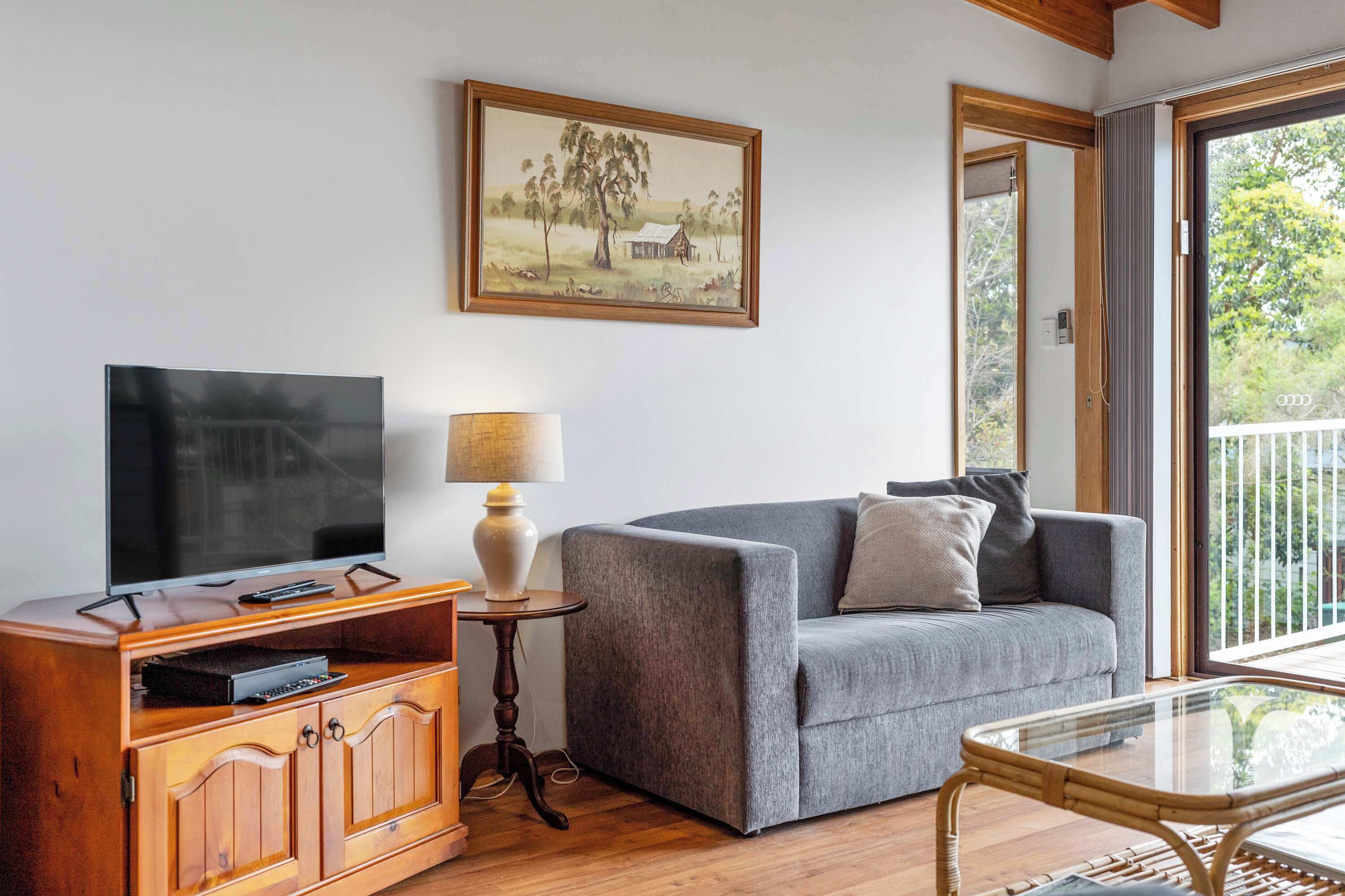 TV, fireplace, DVD player