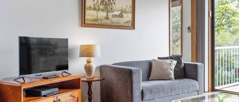 TV, fireplace, DVD player