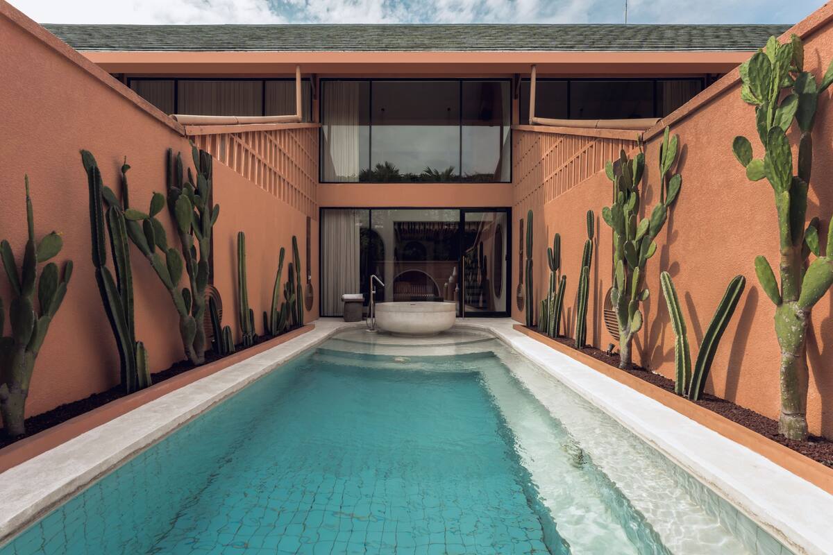 A pool with cacti on either side, a hot tub in the center, and a building with a sloped roof.
