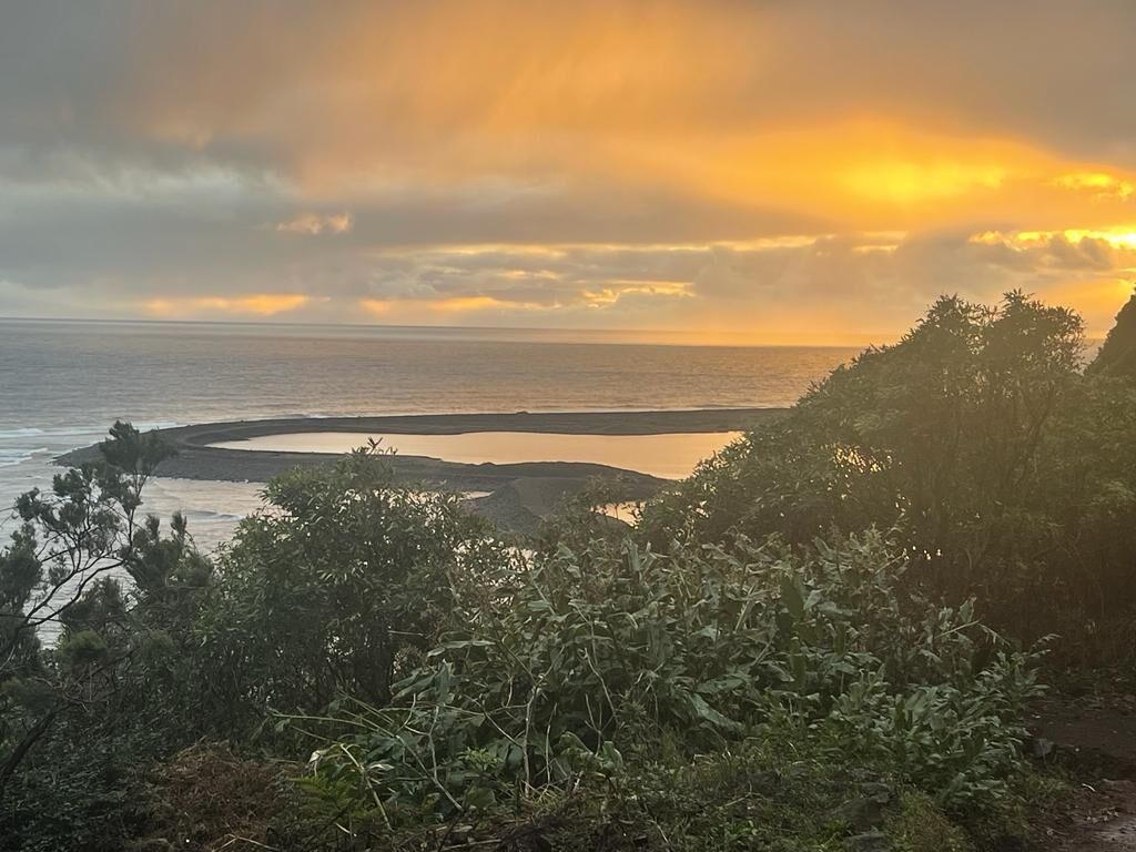 A coastal landscape with a beach, vegetation, and a sunset.