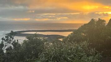 A coastal landscape with a beach, vegetation, and a sunset.