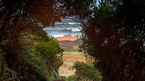 A narrow dirt path leading to a stone building with a red roof, surrounded by dense greenery and trees. - Stylish 1 Bedroom Stone House On Ocean Front - São Jorge, Azores (Bela Lua) (Calheta)