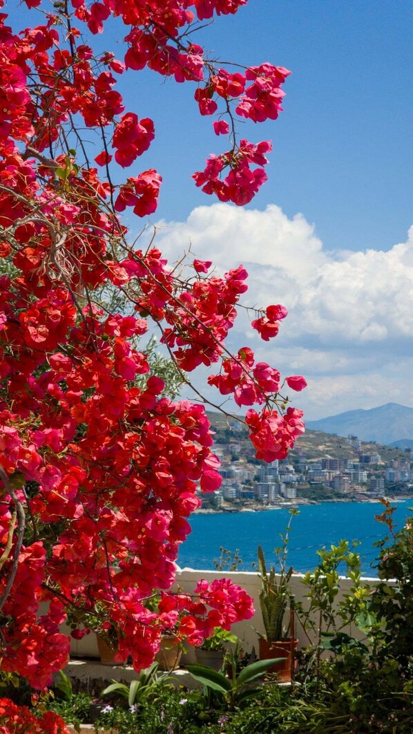 Exterior - Mariana Apartments (Sarandë)