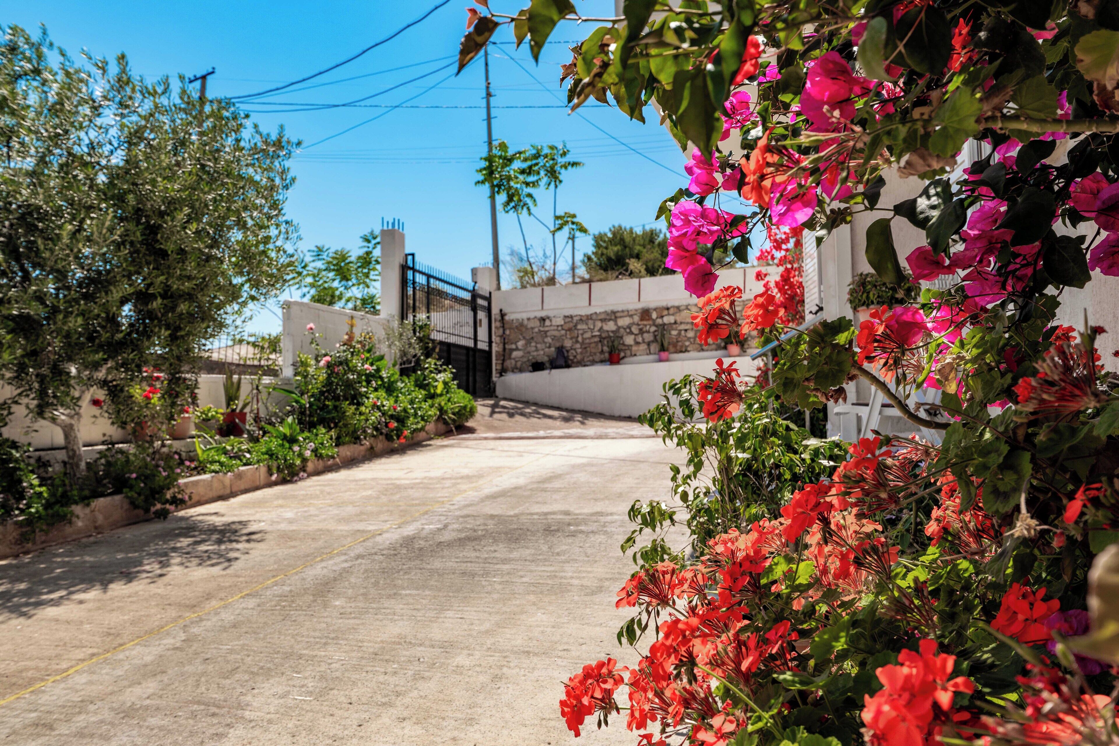 A narrow street with a white fence and a stone wall on one side, and lush greenery and flowers on the other.