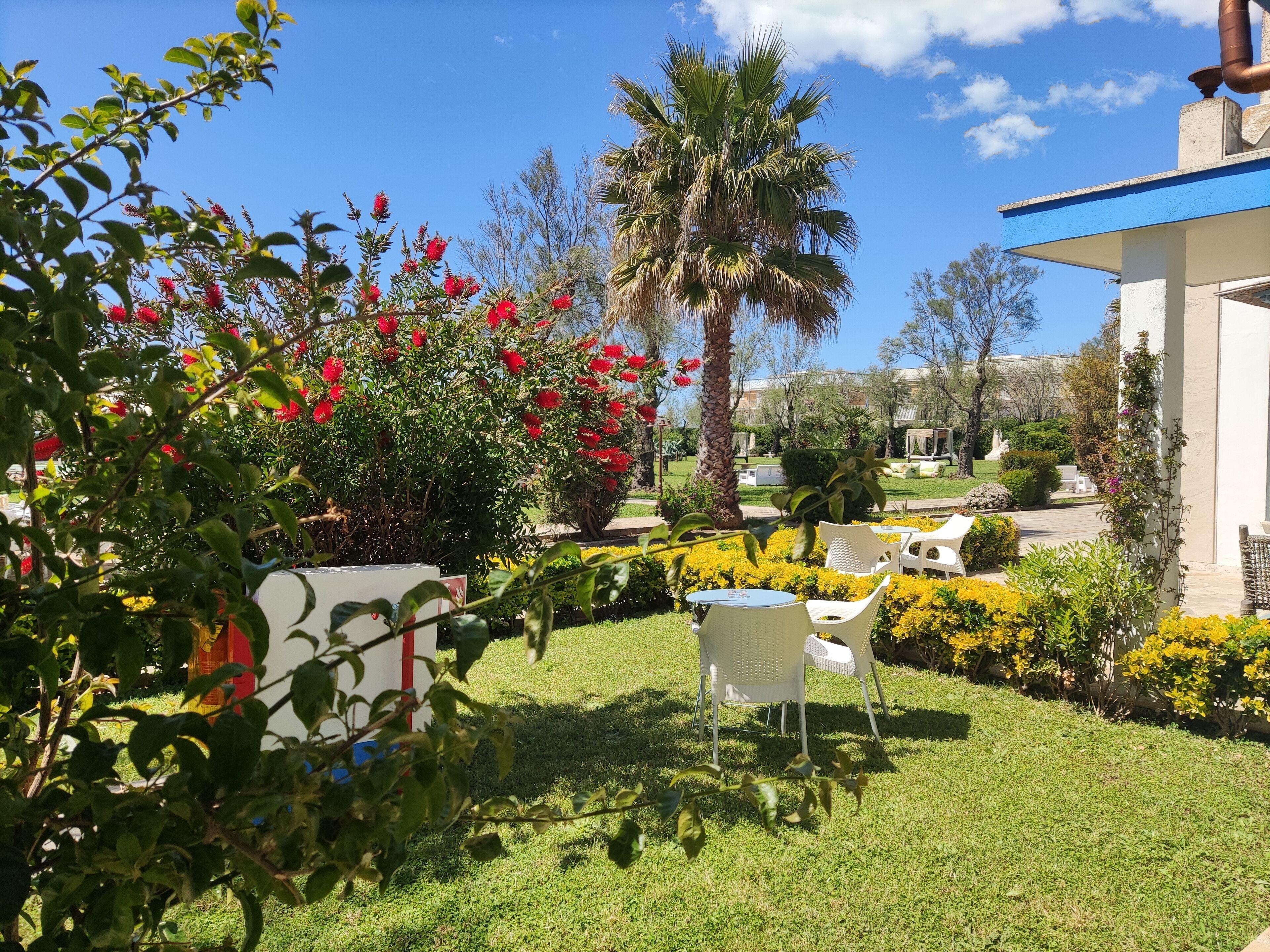 A garden with a white chair, a palm tree, and red flowers.