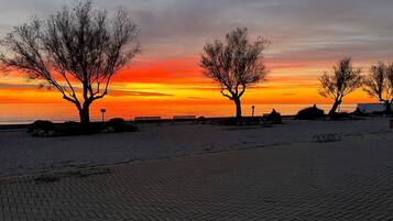A sunset view with trees and benches along a paved walkway.