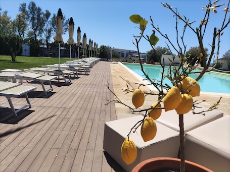 Terraza