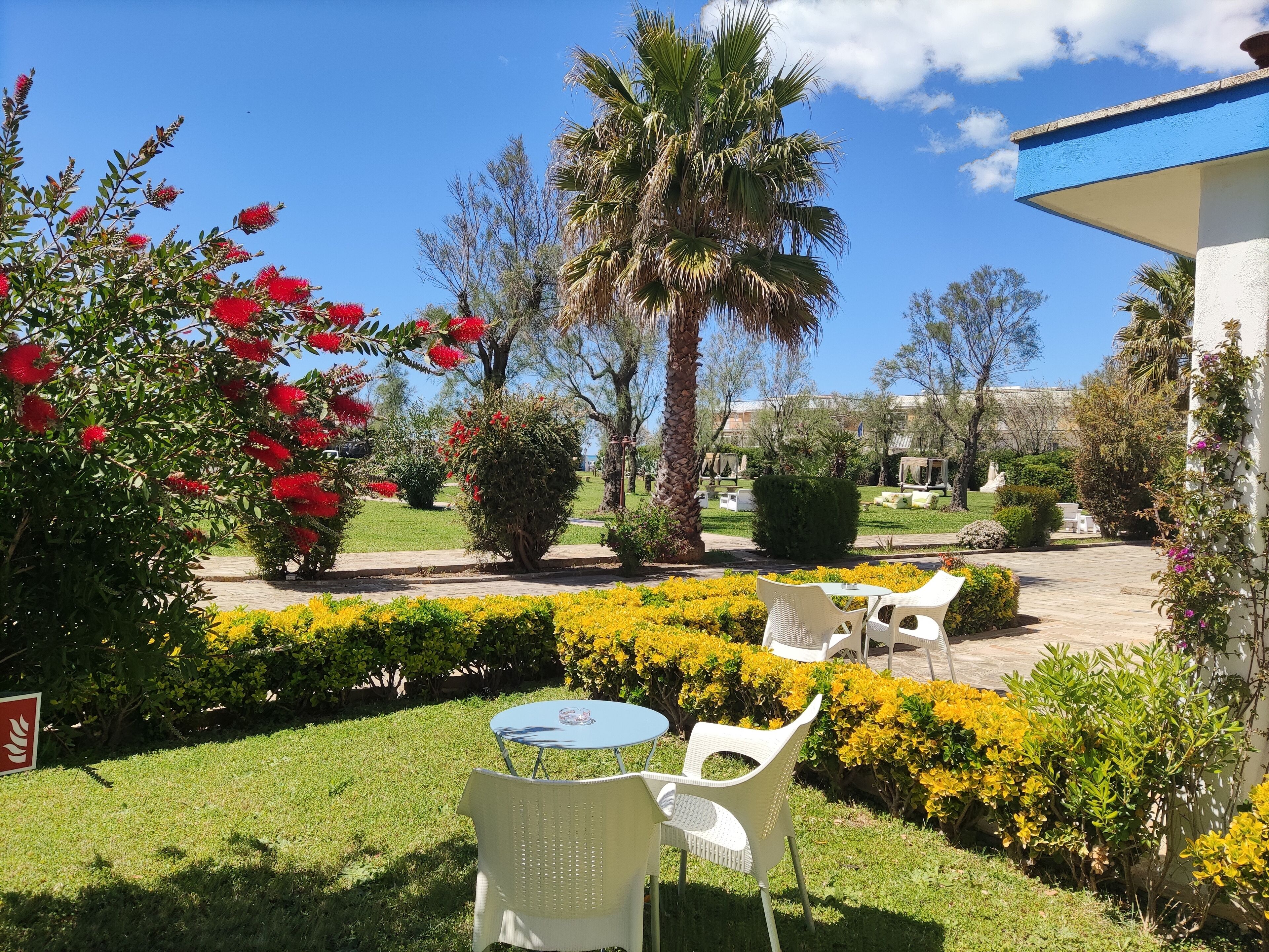Un giardino con sedie e tavolo bianchi, circondato da siepi curate e piante fiorite.