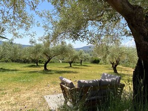 Property grounds - Spacious three-bedroomed country villa with large gardens and swimming pool (Traiguera)