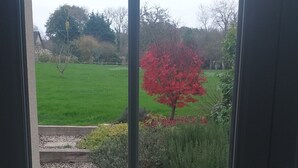 Vista a través de una ventana con una terraza de madera y un árbol rojo al fondo.