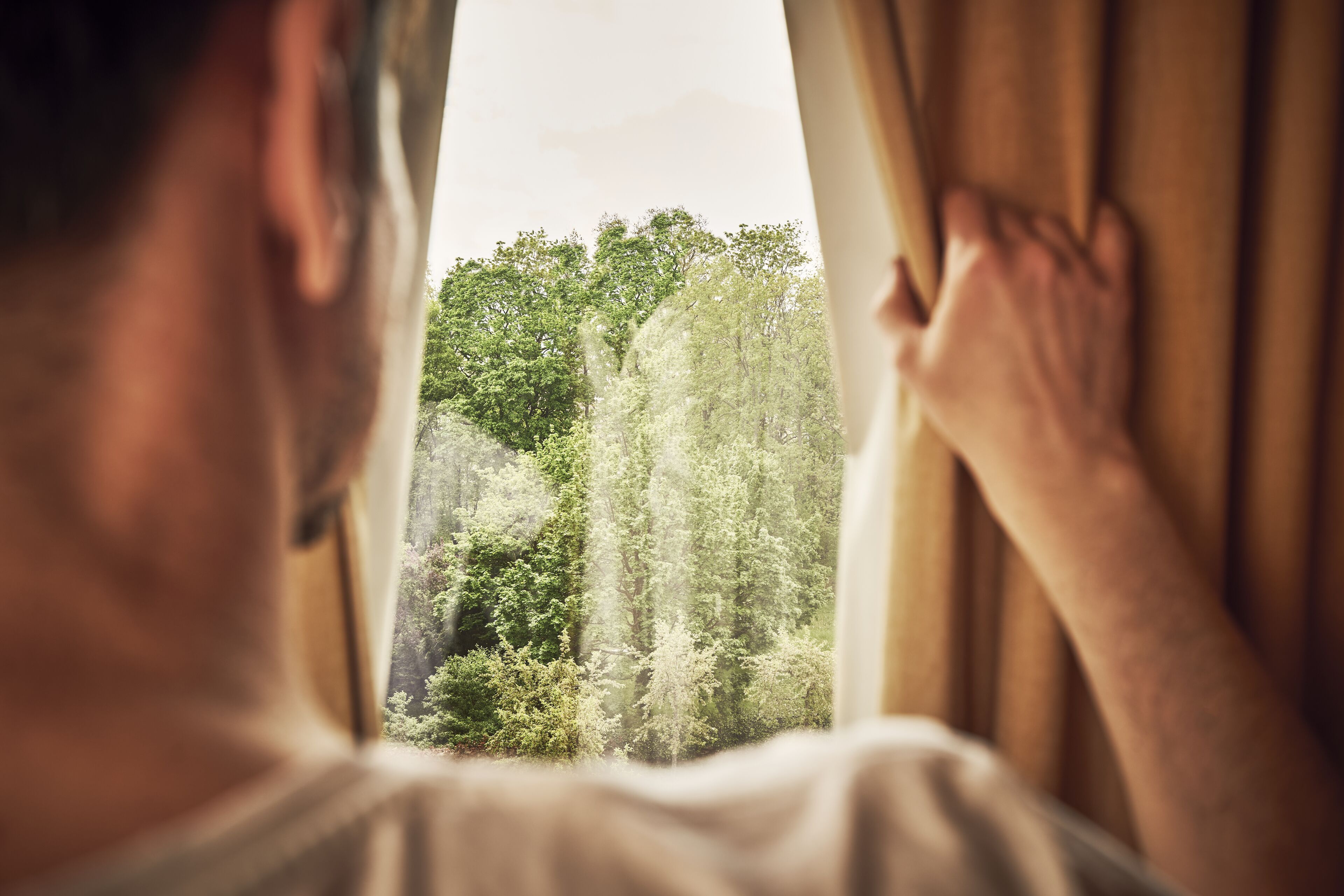 A person looking out of a window with curtains drawn, revealing a view of a forested area.