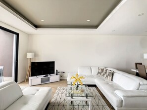 Televisión 
